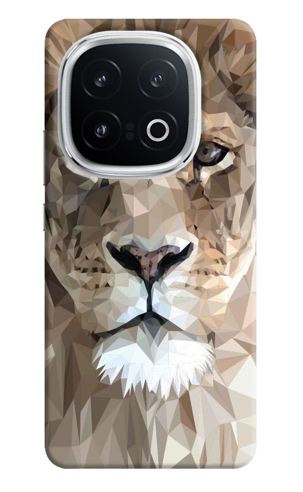 Lion Art iQOO 13 5G Hard Case Back Cover by Casekaro