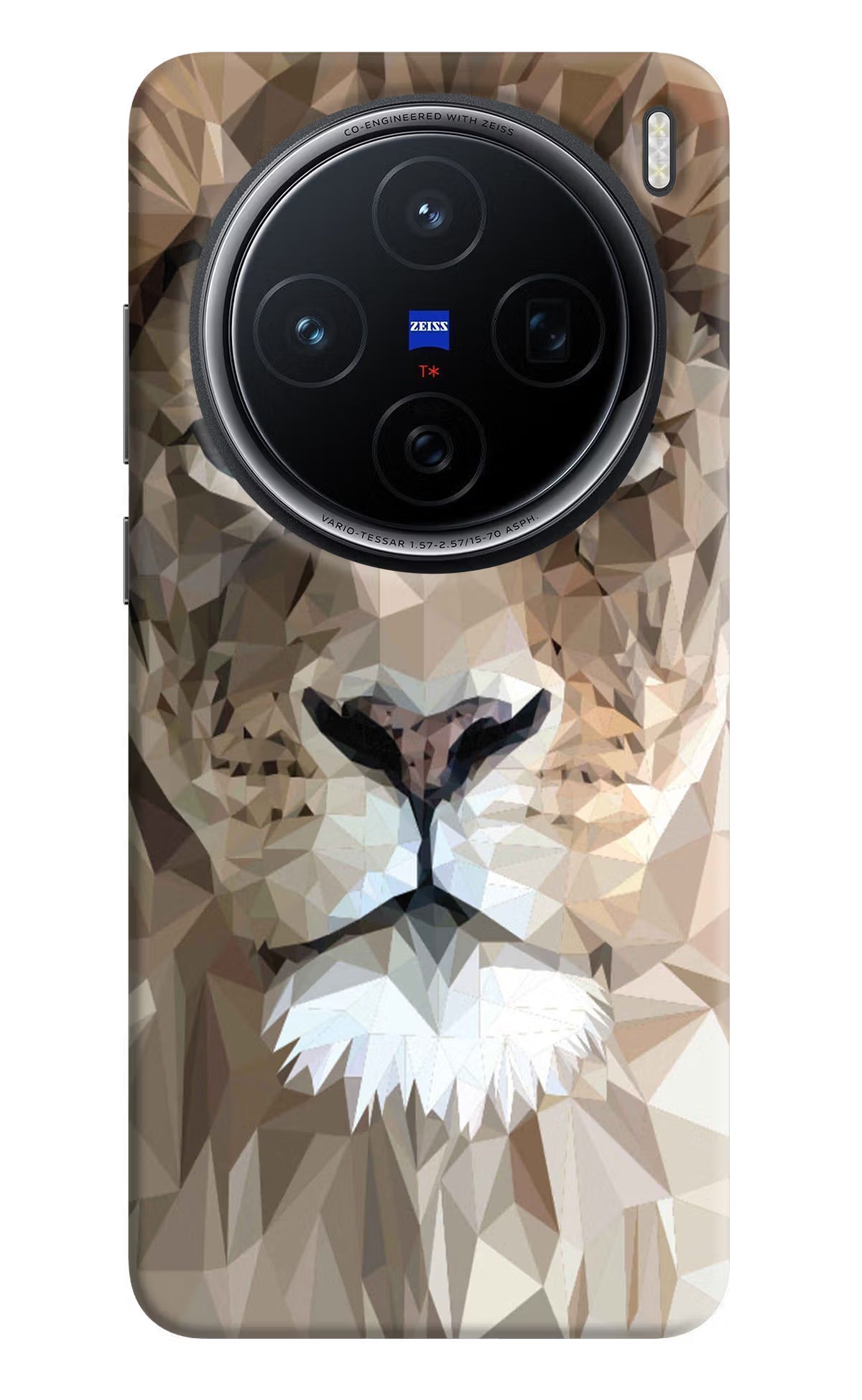 Lion Art Vivo X200 5G Hard Case Back Cover by Casekaro