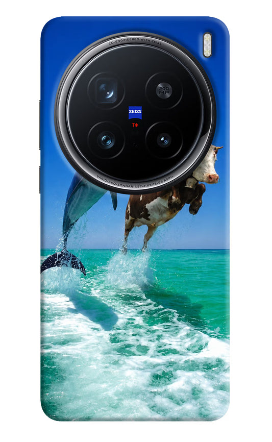 Dolphin vs Cow Vivo X200 Pro 5G Hard Case Back Cover by Casekaro