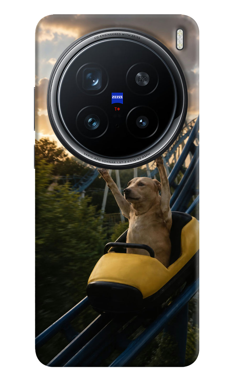 Rollercoaster Dog Vivo X200 Pro 5G Back Cover, Hard case