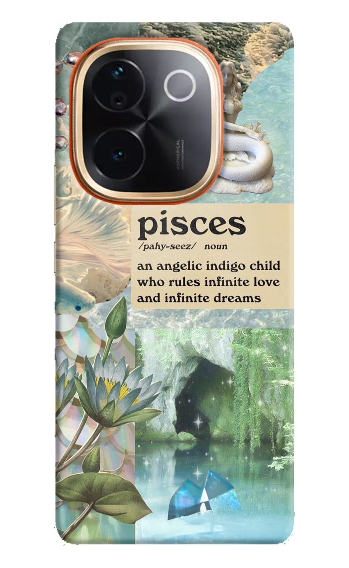 Pisces Zodiac IQOO Z9S Pro 5G Hard Case Back Cover by Casekaro