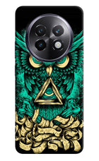 Green Owl Realme 13 Plus 5G Back Cover