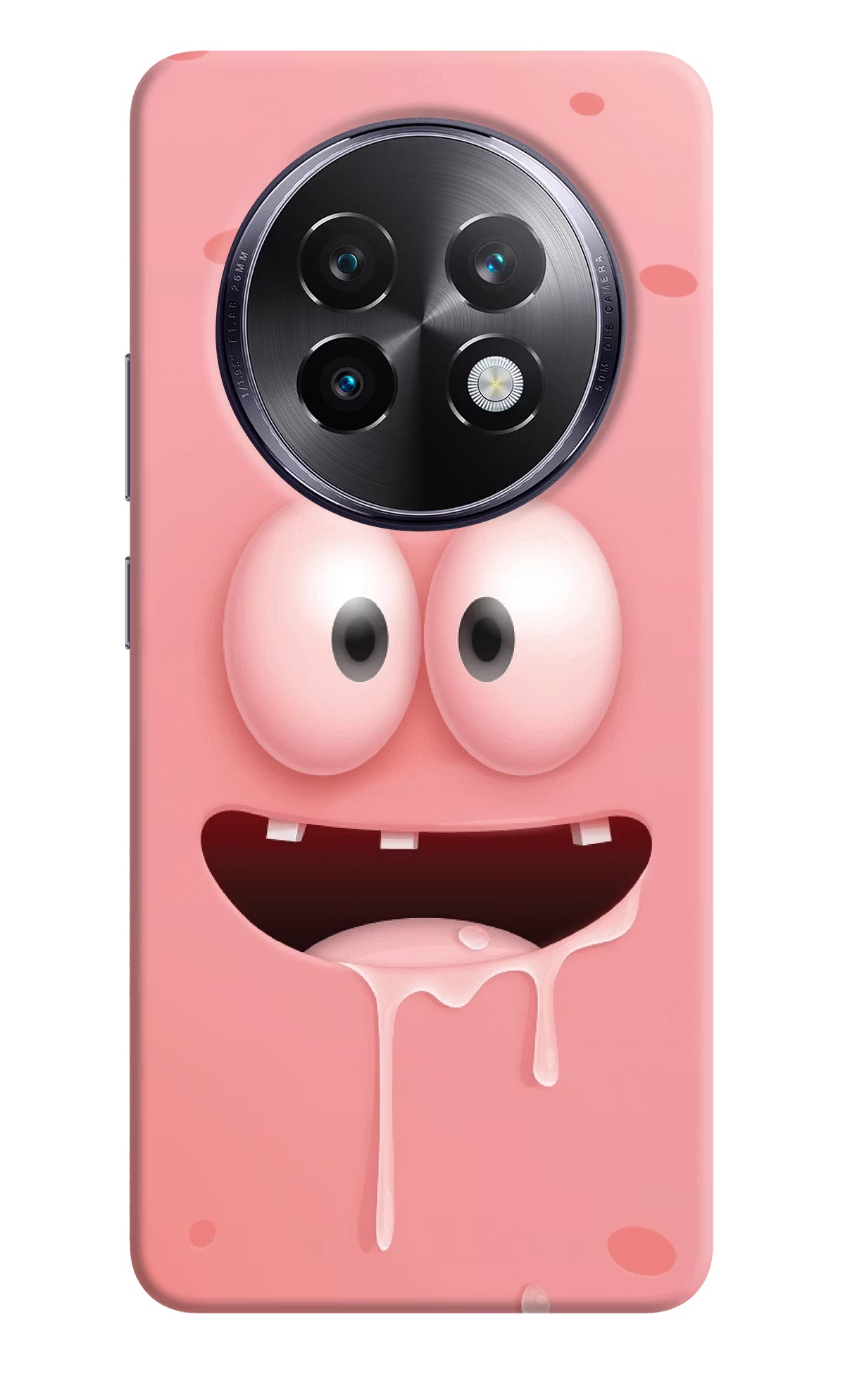 Sponge 2 Realme 13 Plus 5G Back Cover