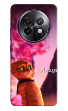 Always Cat Realme 13 Plus 5G Hard Case Back Cover by Casekaro