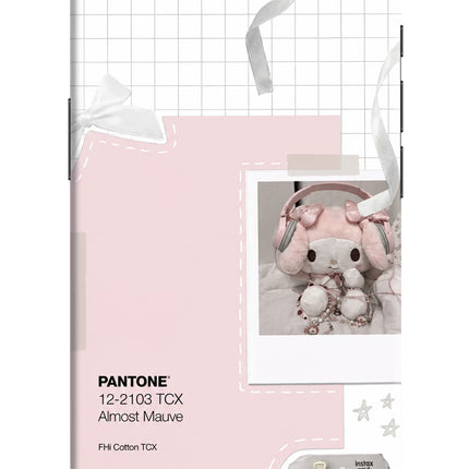Pantone Asthetic iPhone 16e Hard Case Back Cover by Casekaro