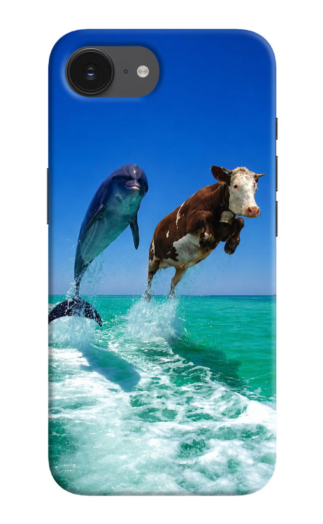 Dolphin vs Cow iPhone 16e Hard Case Back Cover by Casekaro