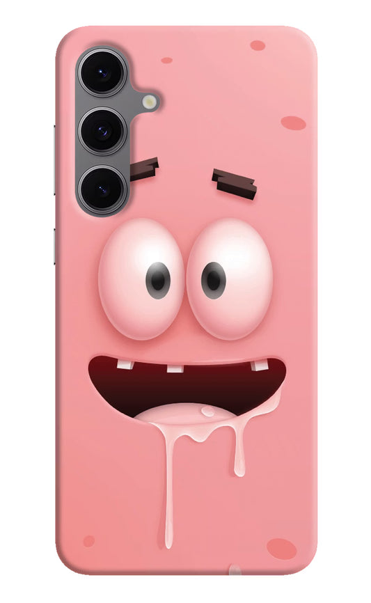 Sponge 2 Samsung S24 FE 5G Hard Case Back Cover by Casekaro