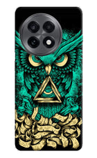 Green Owl OnePlus 13R Hard Case Back Cover by Casekaro