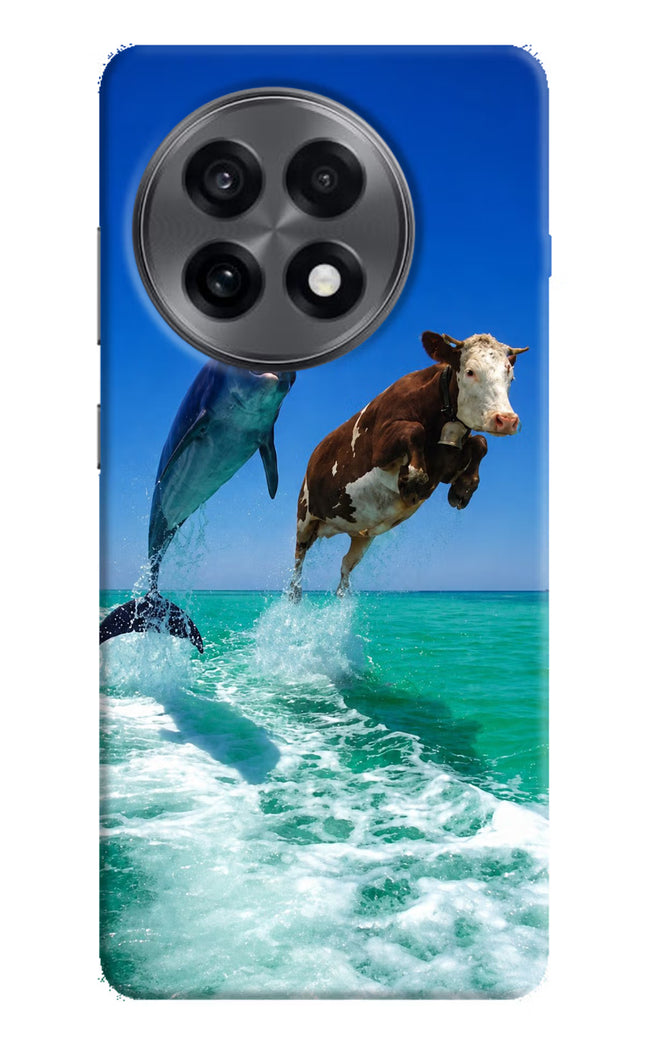 Dolphin vs Cow OnePlus 13R Hard Case Back Cover by Casekaro