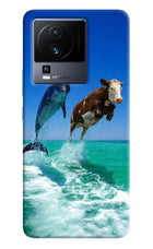 Dolphin vs Cow iQOO Neo 7 Hard Case Back Cover by Casekaro