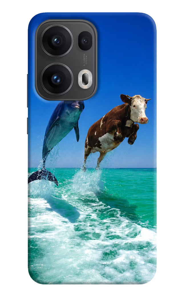 Dolphin vs Cow Oppo Reno13 Pro 5G Hard Case Back Cover by Casekaro
