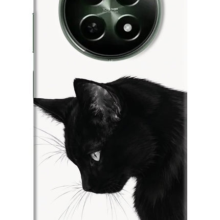 Shadow Gaze Realme 12x 5G Hard Case Back Cover by Casekaro
