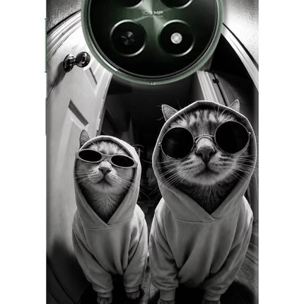 Hood Cats Realme 12x 5G Hard Case Back Cover by Casekaro