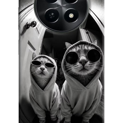 Hood Cats Realme C65 5G Hard Case Back Cover by Casekaro