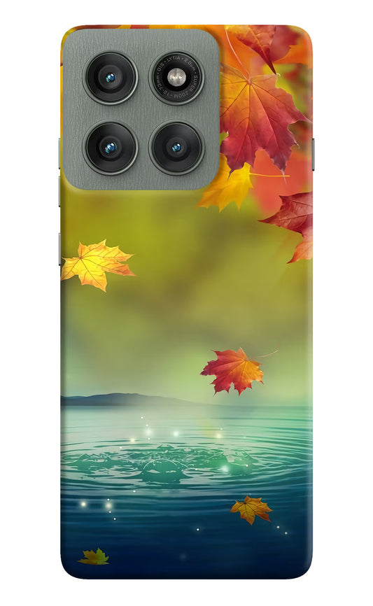 Flowers Moto Edge 60 Pro Hard Case Back Cover by Casekaro