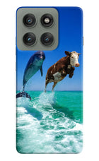 Dolphin vs Cow Moto Edge 60 Pro Hard Case Back Cover by Casekaro