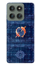 Koi Blue Moto Edge 60 Pro Hard Case Back Cover by Casekaro