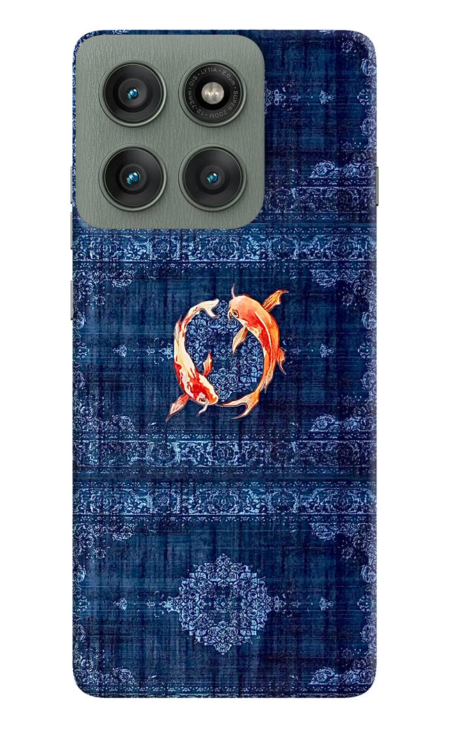 Koi Blue Moto Edge 60 Pro Hard Case Back Cover by Casekaro