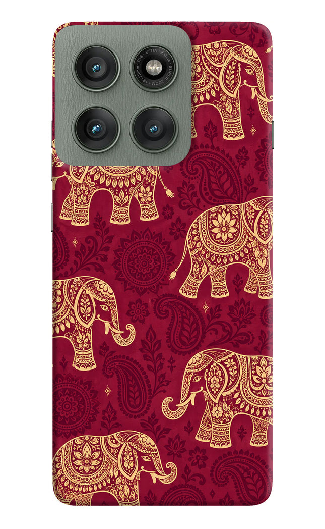 Maroon Elephant Moto Edge 60 Pro Back Cover