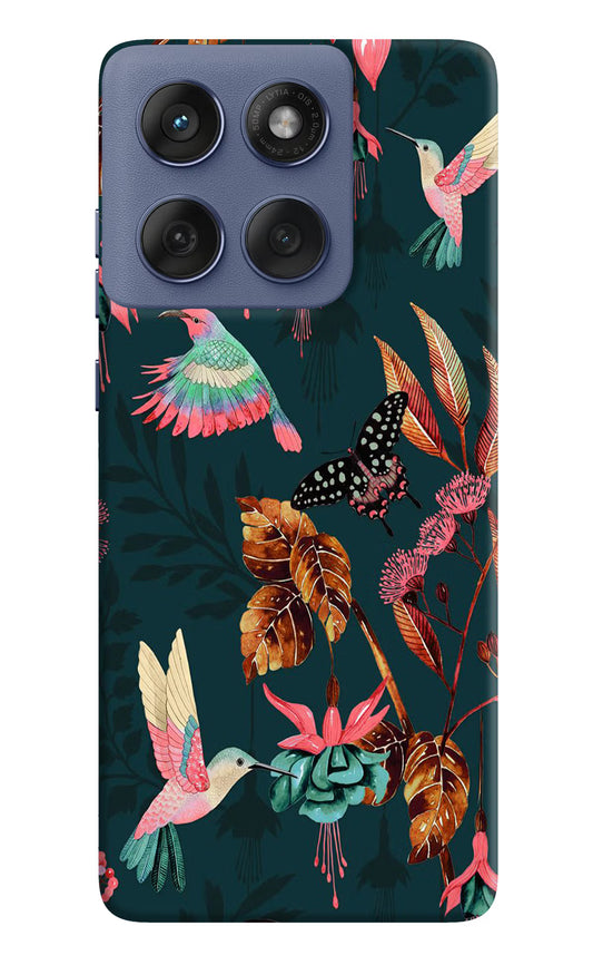 Birds Moto Edge 60 Fusion Hard Case Back Cover by Casekaro