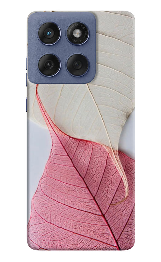 White Pink Leaf Moto Edge 60 Fusion Hard Case Back Cover by Casekaro