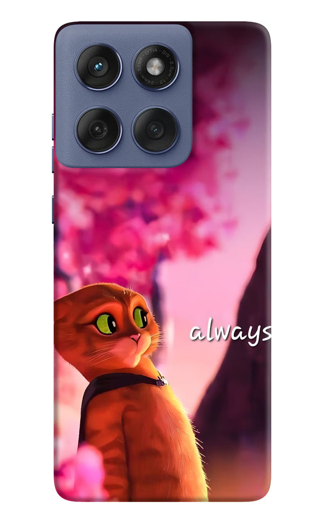 Always Cat Moto Edge 60 Fusion Hard Case Back Cover by Casekaro
