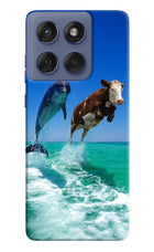 Dolphin vs Cow Moto Edge 60 Fusion Hard Case Back Cover by Casekaro