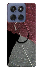 Leaf Pattern Moto Edge 60 Fusion Pop Case by Casekaro