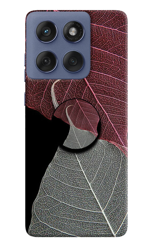 Leaf Pattern Moto Edge 60 Fusion Pop Case by Casekaro