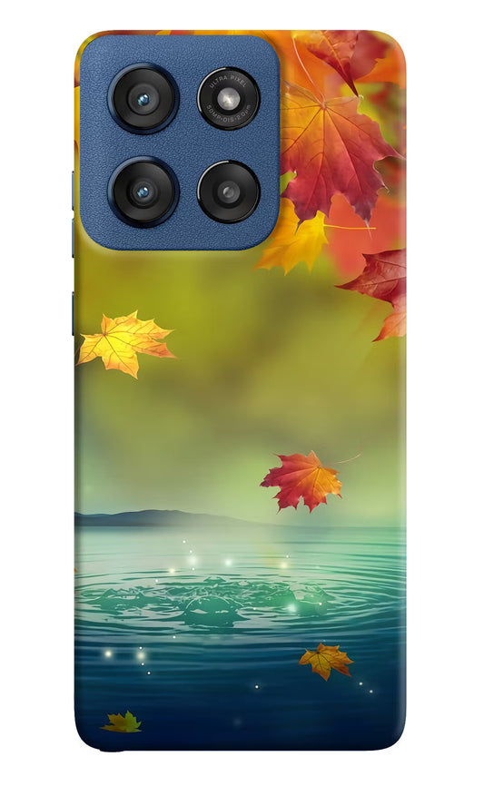 Flowers Moto Edge 60 Stylus Hard Case Back Cover by Casekaro