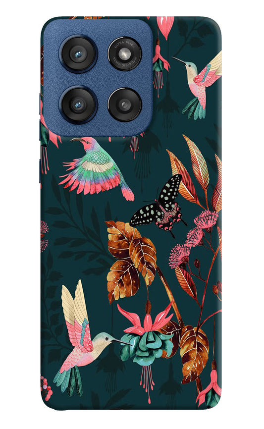 Birds Moto Edge 60 Stylus Hard Case Back Cover by Casekaro