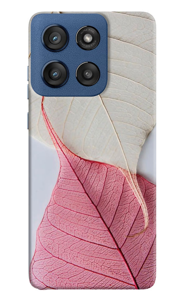 White Pink Leaf Moto Edge 60 Stylus Hard Case Back Cover by Casekaro