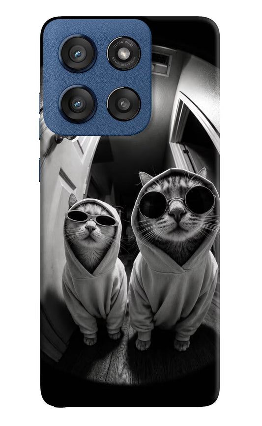 Hood Cats Moto Edge 60 Stylus Hard Case Back Cover by Casekaro