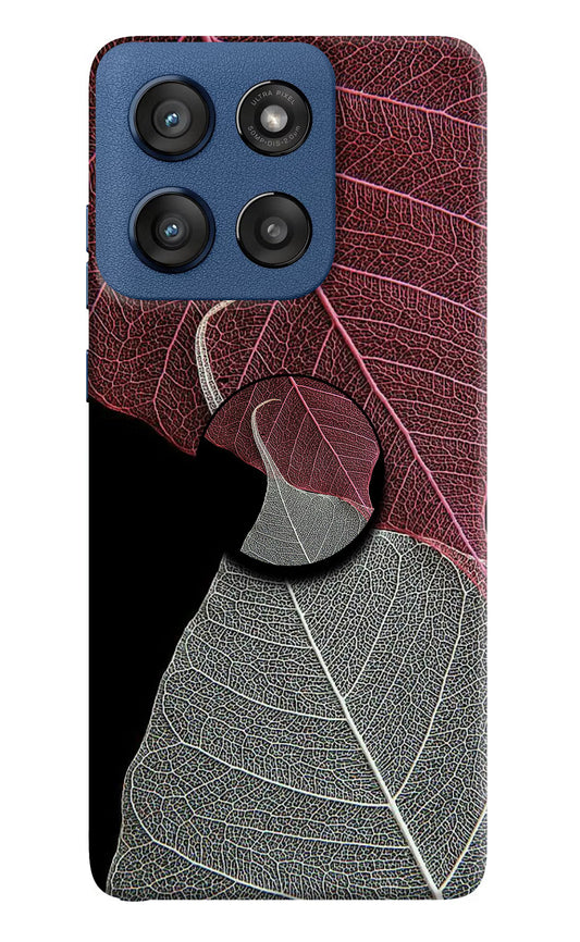 Leaf Pattern Moto Edge 60 Stylus Pop Case by Casekaro