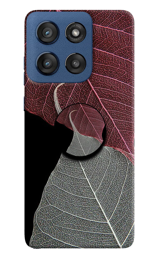 Leaf Pattern Moto Edge 60 Stylus Pop Case by Casekaro