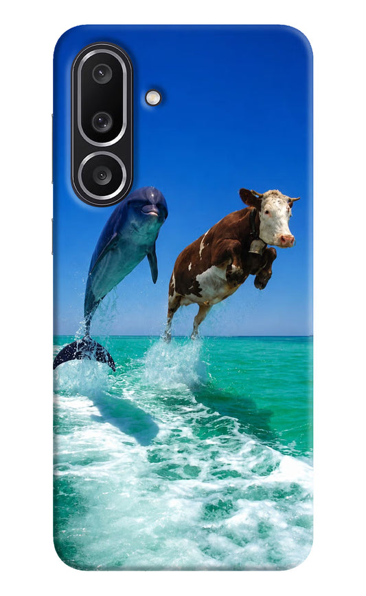 Dolphin vs Cow Samsung M56 5G Hard Case Back Cover by Casekaro