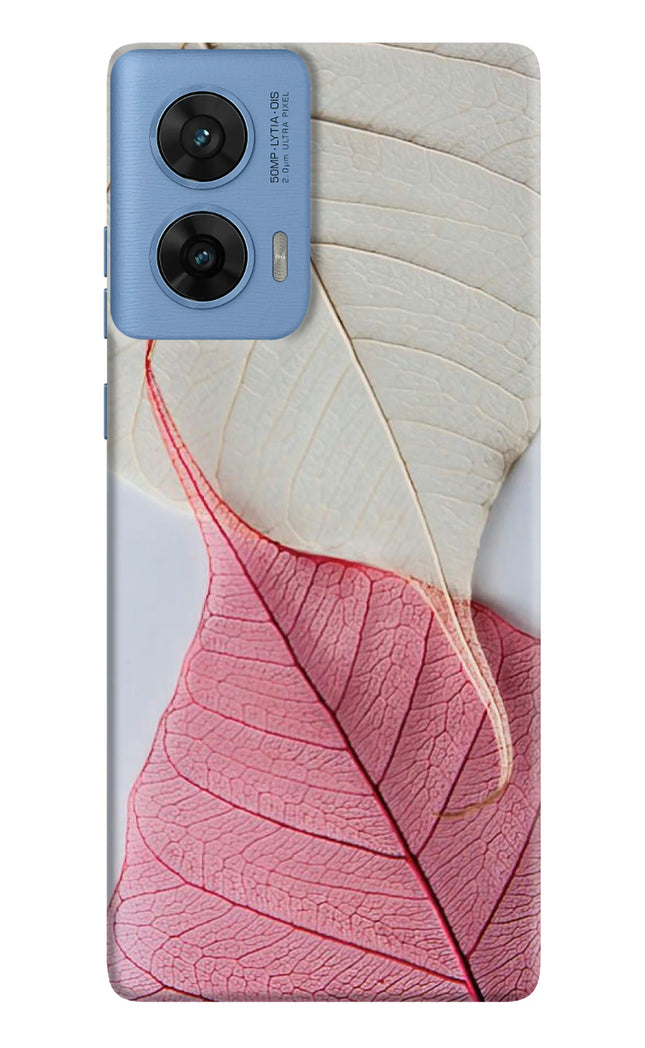 White Pink Leaf Moto G96 5G Hard Case Back Cover by Casekaro