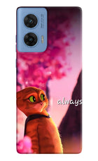 Always Cat Moto G96 5G Hard Case Back Cover by Casekaro
