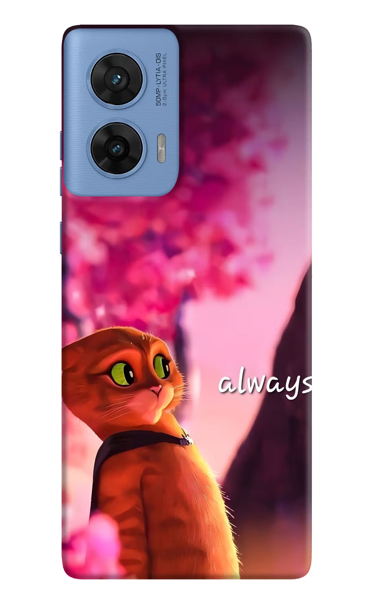 Always Cat Moto G96 5G Back Cover
