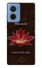 Bloom Moto G96 5G Hard Case Back Cover by Casekaro