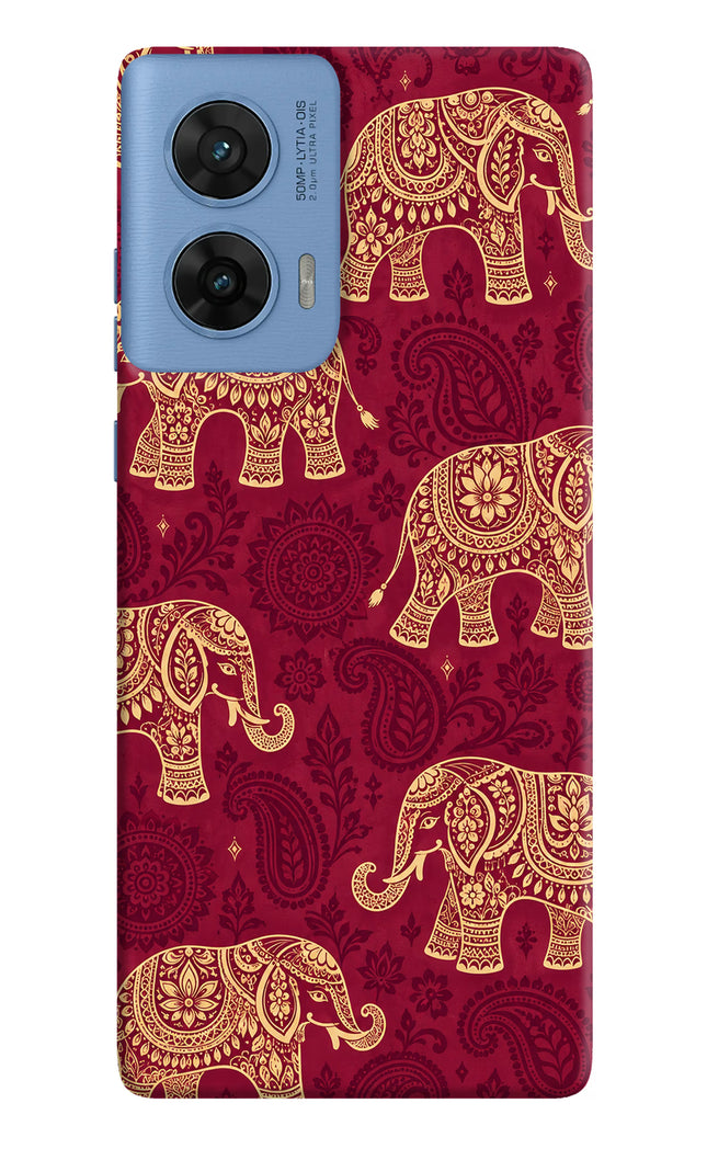 Maroon Elephant Moto G96 5G Hard Case Back Cover by Casekaro
