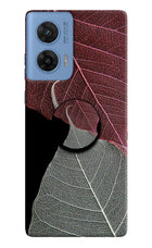 Leaf Pattern Moto G96 5G Pop Case by Casekaro
