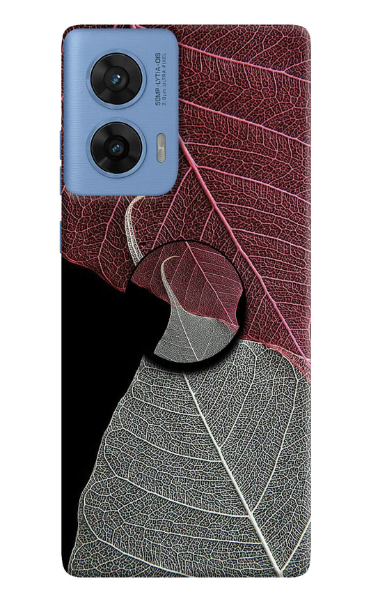 Leaf Pattern Moto G96 5G Pop Case by Casekaro