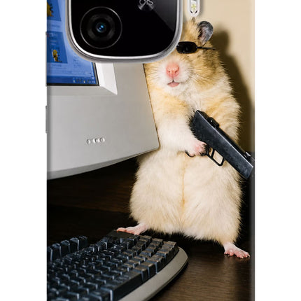 Hacker Hamster iQOO Neo 10R 5G Hard Case Back Cover by Casekaro
