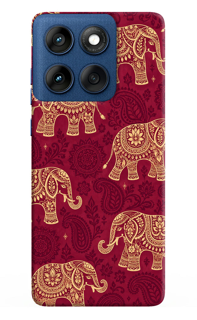 Maroon Elephant Moto Edge 60 Back Cover
