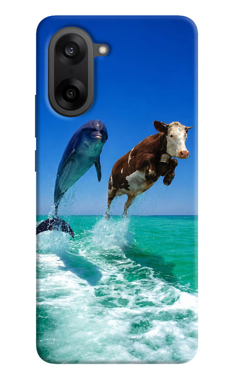 Dolphin vs Cow OnePlus Nord CE5 Back Cover