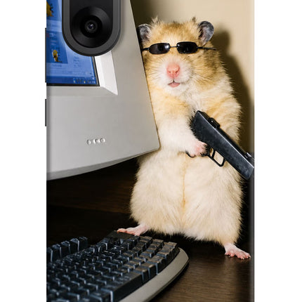 Hacker Hamster OnePlus Nord CE5 Hard Case Back Cover by Casekaro