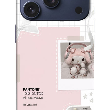 Pantone Asthetic iPhone 17 Pro Hard Case Back Cover by Casekaro