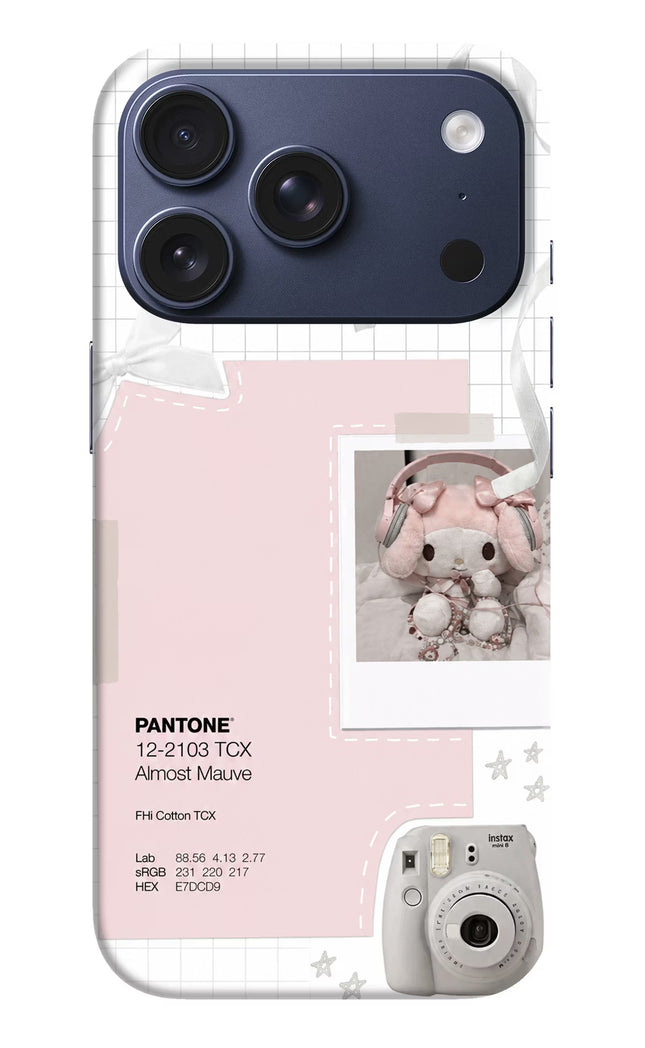 Pantone Asthetic iPhone 17 Pro Hard Case Back Cover by Casekaro