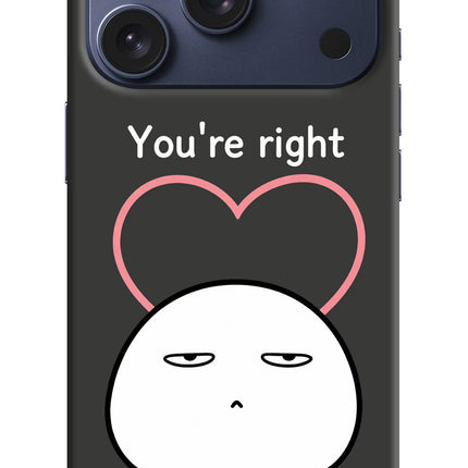You're Right iPhone 17 Pro Hard Case Back Cover by Casekaro